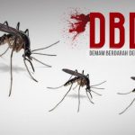 Sintang Belum Tetapkan KLB DBD