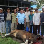 Sumbang Satu Ekor Sapi, Askiman Berharap Dapat Bermanfaat