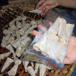 Poklahsar Siap Pasarkan Produk Ikan Khas Mempawah