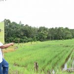 Ini yang Paling Penting dalam Merawat Sawah