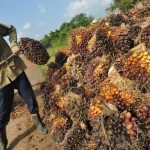 Legislator Sintang Minta Penyaluran CSR Perusahaan Perkebunan dan Bank Tepat Sasaran