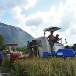 Perkuat Pondasi Ekonomi Kerakyatan