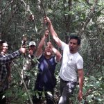 Diidentifikasi, Cirebon Bawa Pulang Rotan Sintang