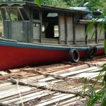 BB 2 Ribu Batang Kayu Ilegal? Kapolsek Serawai dan Kasat Reskrim Tidak Sinkron!