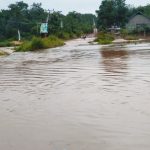Akibat Hujan, Tiga Rumah Penduduk dan 20 Hektar Lahan Sawah Terendam Banjir