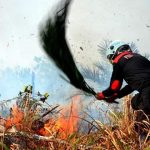 Catat! Hubungi Nomor Ini Jika Ingin Buka Lahan dengan Membakar