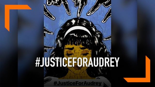 Prihatin Kasus Audrey, Agustinus Aci: Jangan Sampai Terjadi di Sintang!