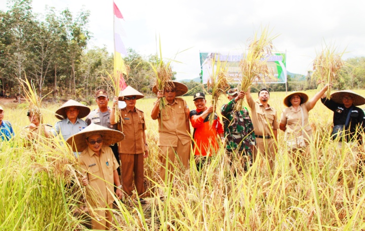 Selain Malas Ditanam, Petani Bingung Akses ke Pangsa Pasar