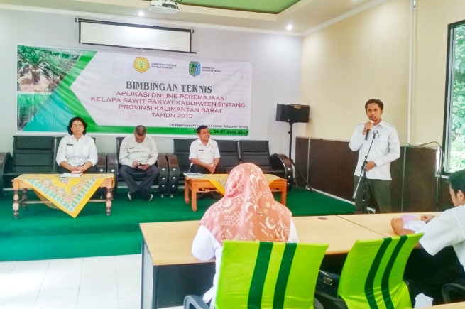 Peremajaan Sawit, Petani Bisa Dapat Bantuan Rp25 Juta Perhektar