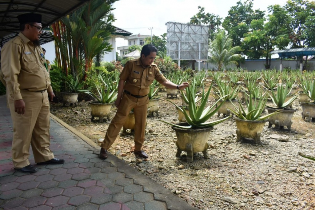 Dorong Aloevera jadi Penyumbang PAD