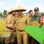 Panen Perdana Padi Gadu, Edi Ajak Warganya Manfaatkan Lahan Kosong