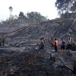 Ratusan Hektar Lahan Sintang jadi Debu, Penyebabnya Disengaja!