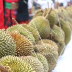 Optimis Kalbar jadi Sentralnya Durian Indonesia