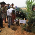 Bupati dan Wakil Bupati Tanam Perdana Kelapa Sawit di PT PALJ