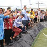 Edhy Prabowo dan Ria Norsan Panen Udang Vaname di Mempawah