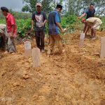 Pasutri di Tempunak Tewas Minum Racun Rumput