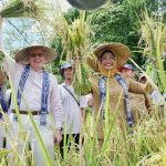 Mempawah Bertekad Jadikan Beras Merah dan Beras Hitam Produk Unggulan