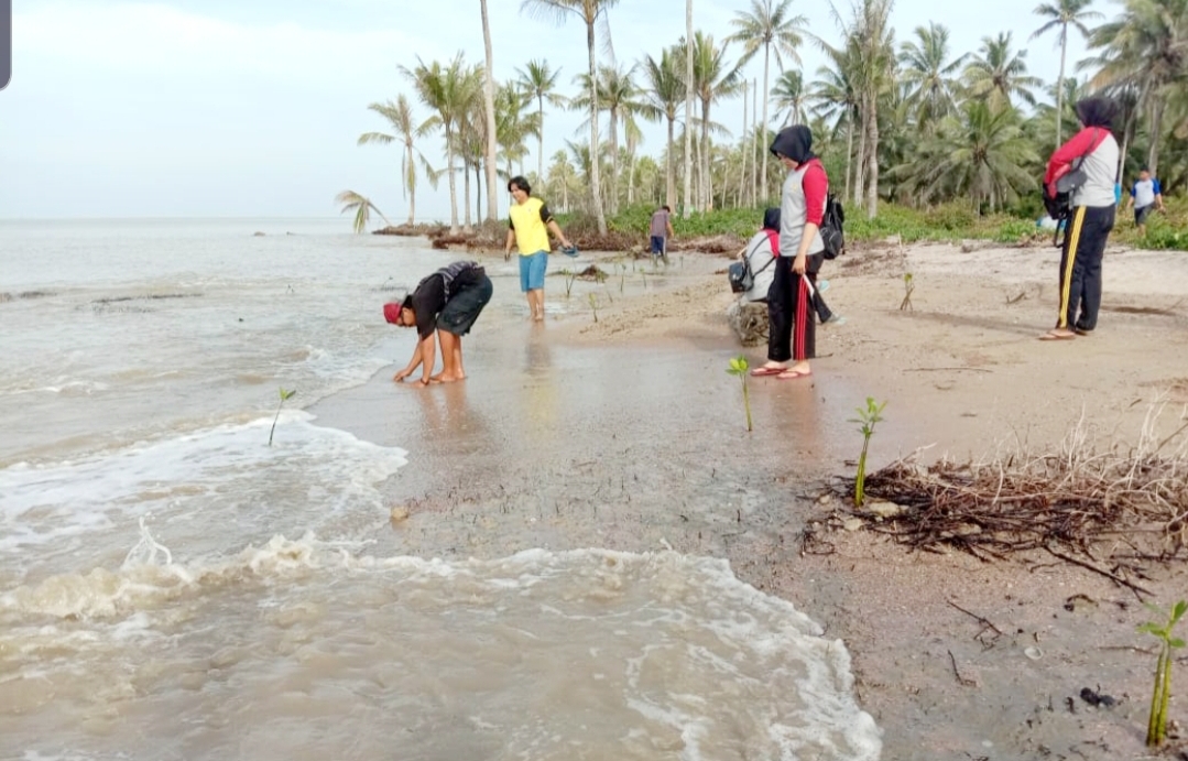 Antisipasi Abrasi, MMC Tanam Ribuan Mangrove di Tanjung Burung