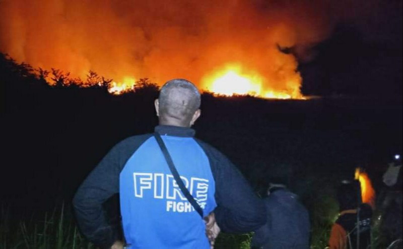 76 Hektar Hutan dan Lahan Terbakar, Terbanyak di Wajok Hulu