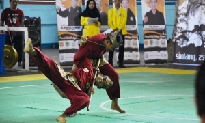 Olahraga Pencak Silat jadi Pemersatu Bangsa