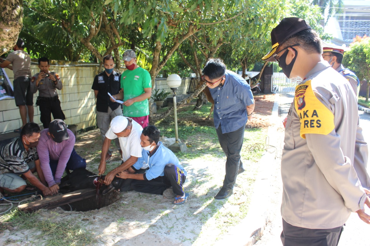 Polres Mempawah Kurban 3 Ekor Sapi dan 4 Ekor Kambing