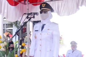 Upacara HUT RI ke-75 Terapkan Protokol Kesehatan Ketat, Bupati Erlina Ajak Masyarakat Pertahankan Zona Hijau Covid-19