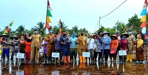 Hasilkan 3,35 Ton Per Hektar, Mempawah Surplus Padi
