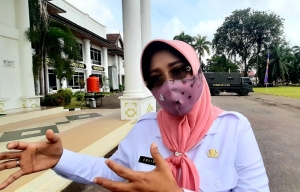 Bupati Erlina Yakin Jembatan Kapuas III Akan Mempermudah Transportasi Darat di Kalbar