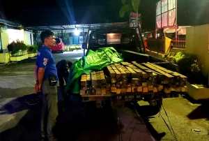 Puluhan Batang Kayu Belian Diamankan