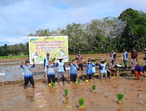 Petani di 5 Kecamatan Mempawah Dapat Bantuan Stimulus