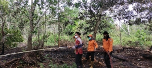 Selain Dibekukan, Ancam Sanksi Denda Pembakar Lahan