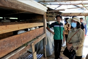 Kelompok Tani Cakra Mandiri Ajak Sekda Keliling ke Pengolahan Pupuk Organik