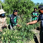 Stop Gunakan Pupuk Kimia