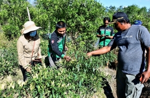 Stop Gunakan Pupuk Kimia