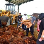 Pansus Soroti CSR, HGU dan IUP di 3 Perusahaan Perkebunan