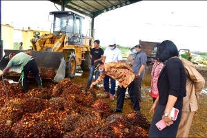 Pansus Soroti CSR, HGU dan IUP di 3 Perusahaan Perkebunan