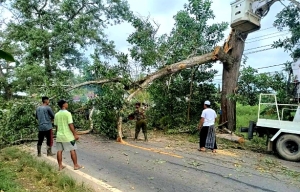 Tebang 14 Pohon di KM 51-55 Jalan Raya Galang