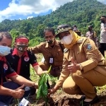 Tanam 10 Ribu Pohon Hutan Adat