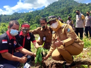 Tanam 10 Ribu Pohon Hutan Adat