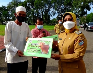 Bupati Erlina Salurkan 12 Ekor Sapi Hewan Kurban