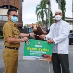 Pemkot Sebar 12 Ekor Sapi untuk Kurban