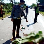 Warga Sambas Tewas Dilindas Puso