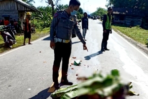 Warga Sambas Tewas Dilindas Puso