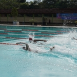 Dongkrak Prestasi Atlet Renang