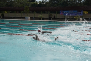 Dongkrak Prestasi Atlet Renang