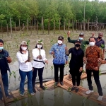 Jaga dan Rawat Mangrove di Kawasan Pesisir