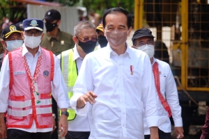 Jokowi Minta KLHK dan Swasta Buat Persemaian Pohon