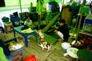 Tenda Pengungsian di Atas Lanting