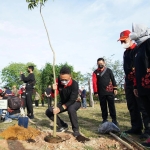 Rakerwil V APEKSI se-Kalimantan di Singkawang, Wako Edi Tanam Pohon Tabebuya