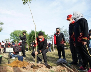 Rakerwil V APEKSI se-Kalimantan di Singkawang, Wako Edi Tanam Pohon Tabebuya